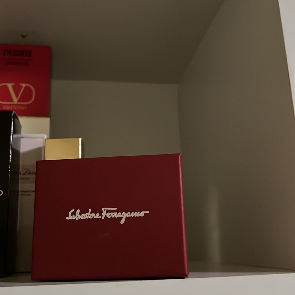 Salvatore ferragamo earrings